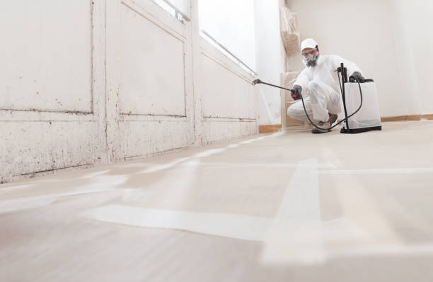 24/7 Emergency Mold Remediation experts in Parkhill, PA
