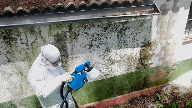 Top rated local Mold Remediation specialists in Parkhill, PA
